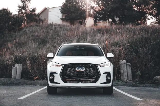 Wildz Casino Android/iOS App